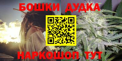 a pvp Гусев