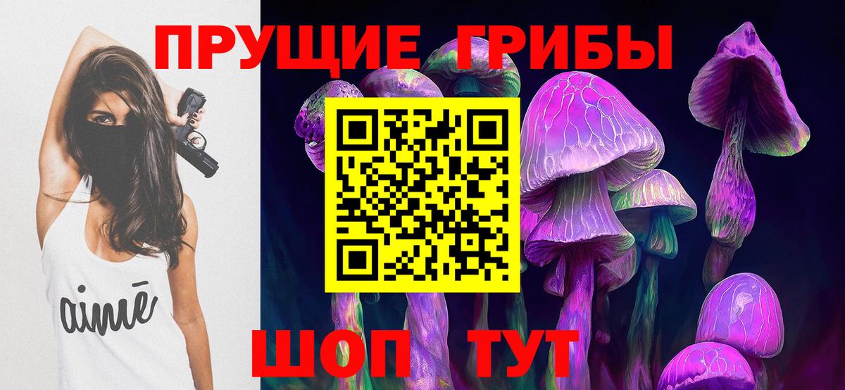 Галлюциногенные грибы прущие грибы  Вход с VPN  Нальчик 